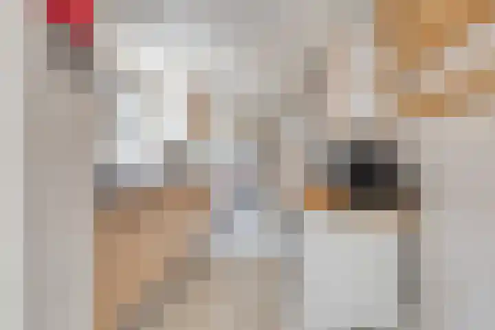 Heerenstraat 15 's-Heerenhoek thumbnail 6