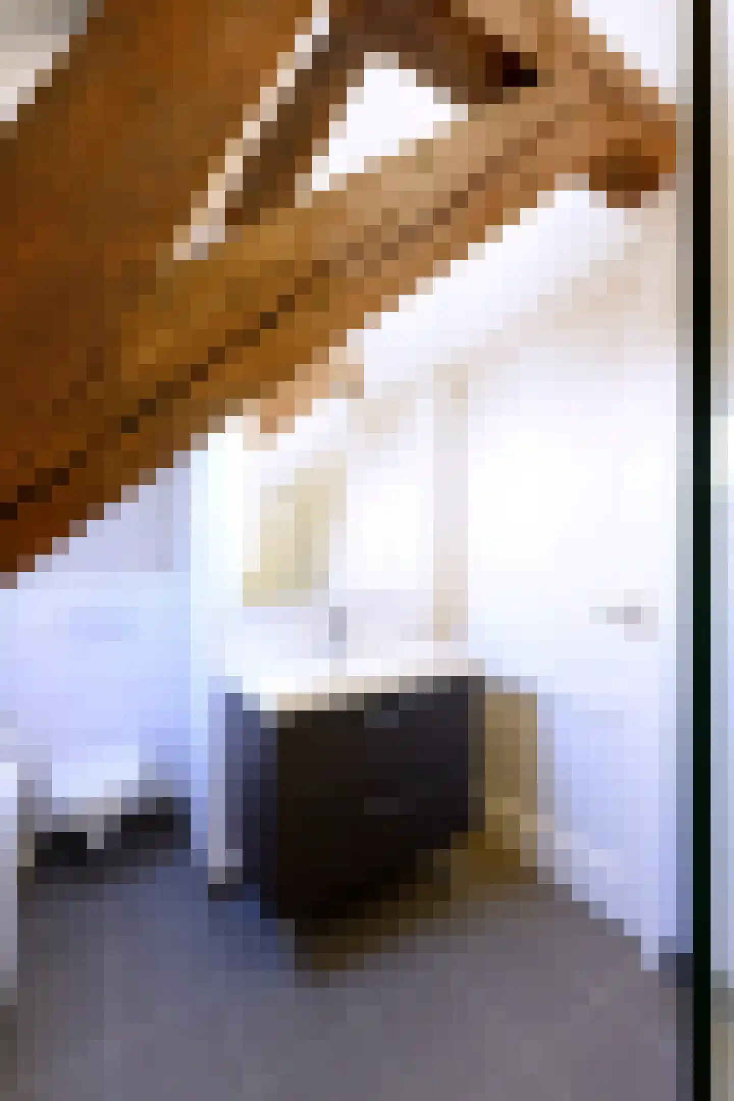 Heerenstraat 16 a Doesburg thumbnail 17