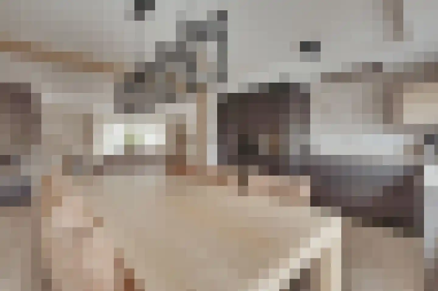 Heerenstraat 9 's-Heerenhoek thumbnail 4