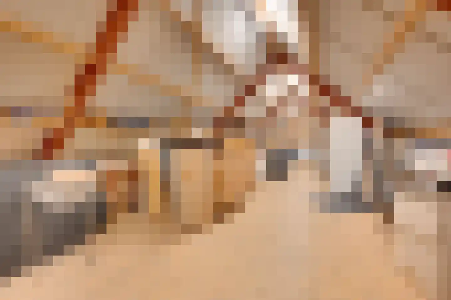 Heerenstraat 9 's-Heerenhoek thumbnail 48