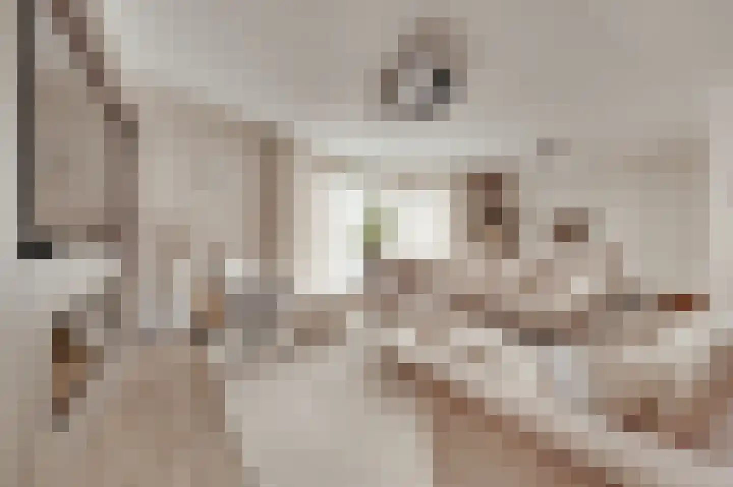 Heerenstraat 9 's-Heerenhoek thumbnail 5