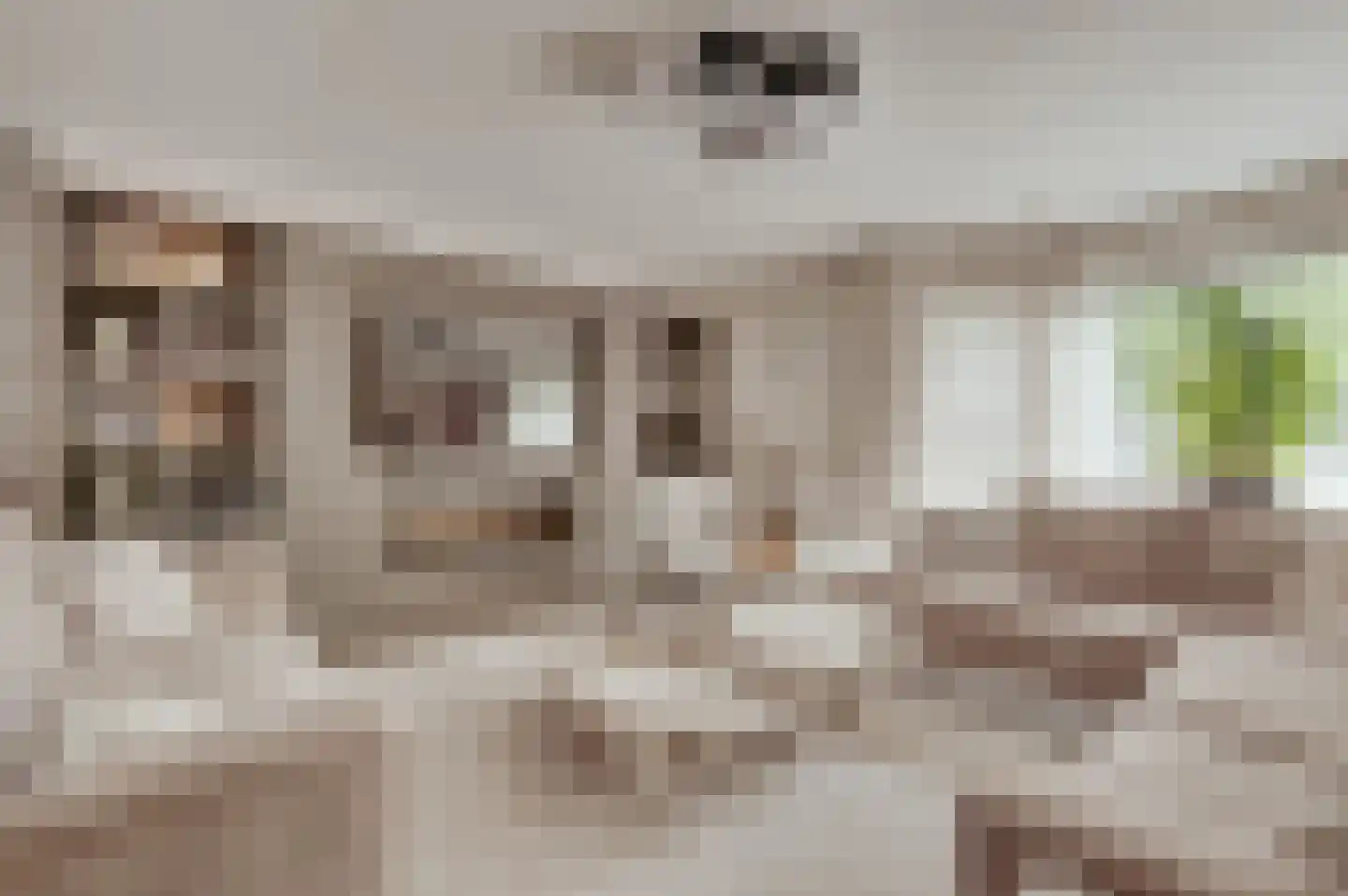 Heerenstraat 9 's-Heerenhoek thumbnail 6