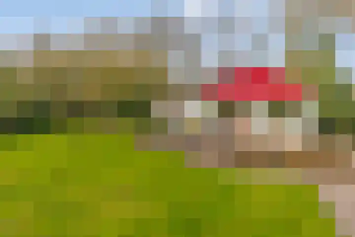 Heerenveenseweg 2 A Oldeberkoop thumbnail 31