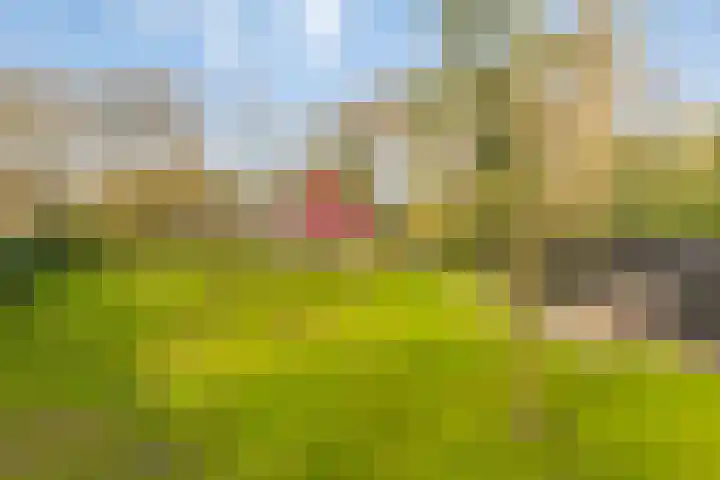 Heerenveenseweg 2 A Oldeberkoop thumbnail 33