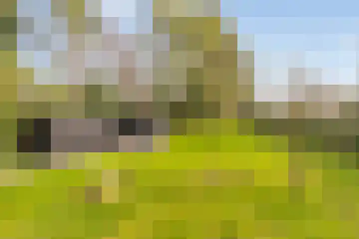 Heerenveenseweg 2 A Oldeberkoop thumbnail 36
