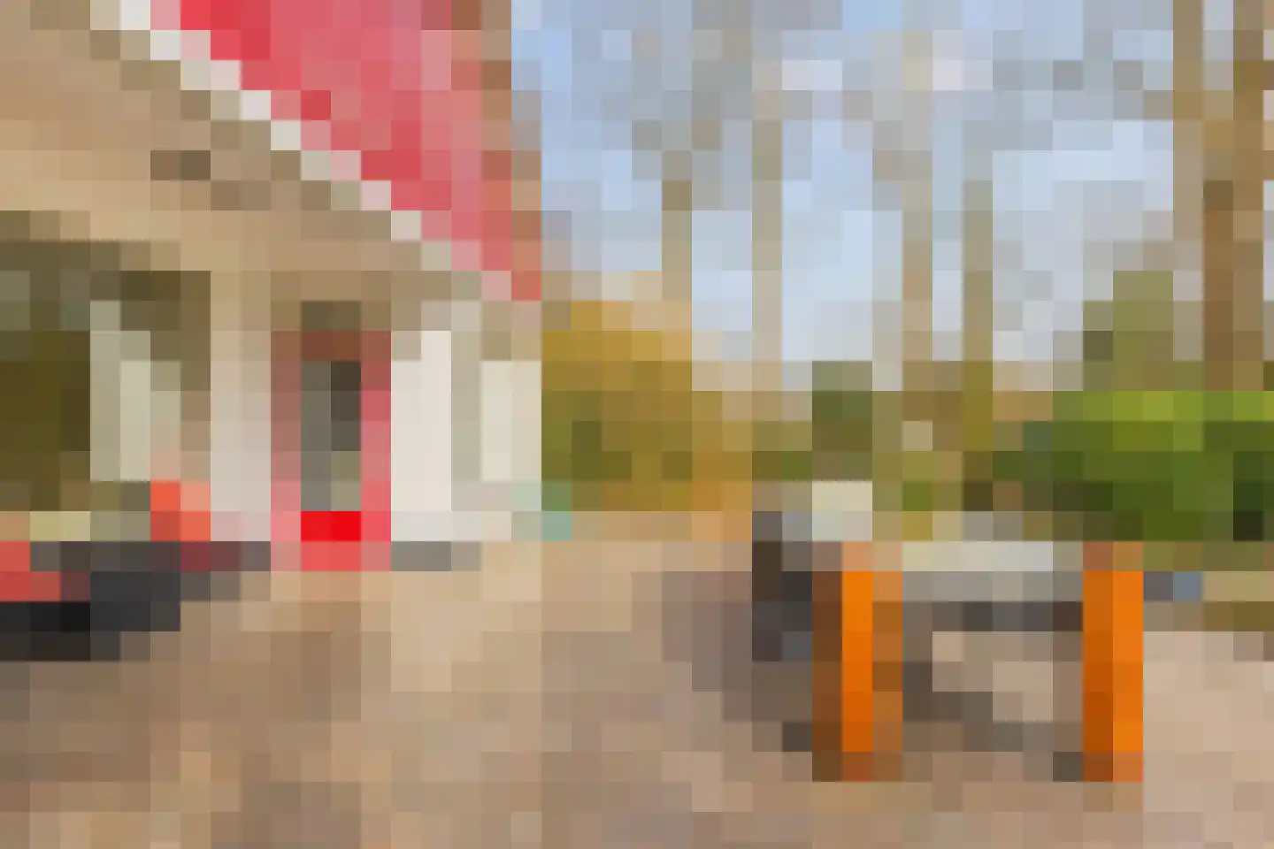 Heerenveenseweg 2 A Oldeberkoop thumbnail 37