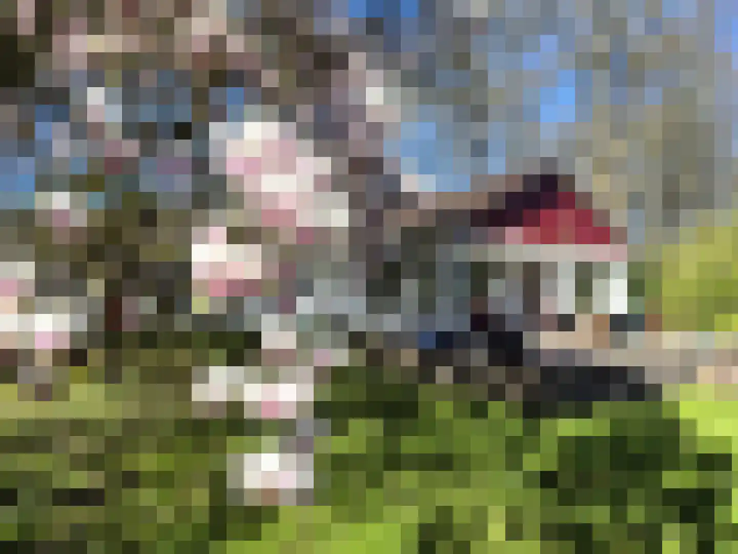 Heerenveenseweg 2 A Oldeberkoop thumbnail 38