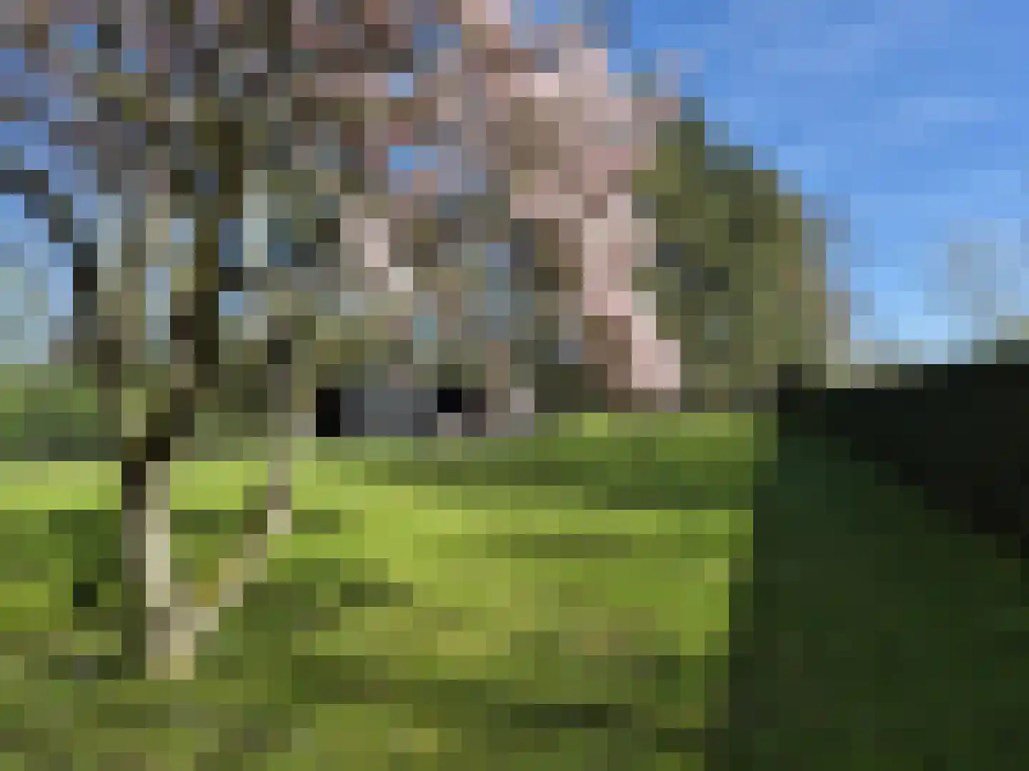 Heerenveenseweg 2 A Oldeberkoop thumbnail 39