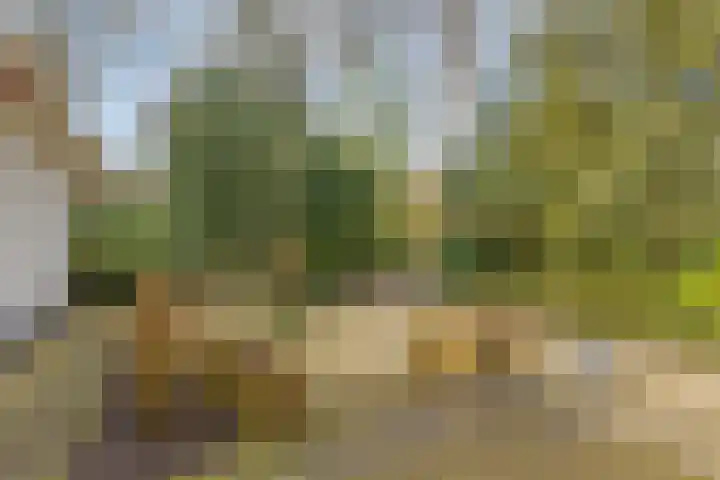 Heerenveenseweg 2 A Oldeberkoop thumbnail 41