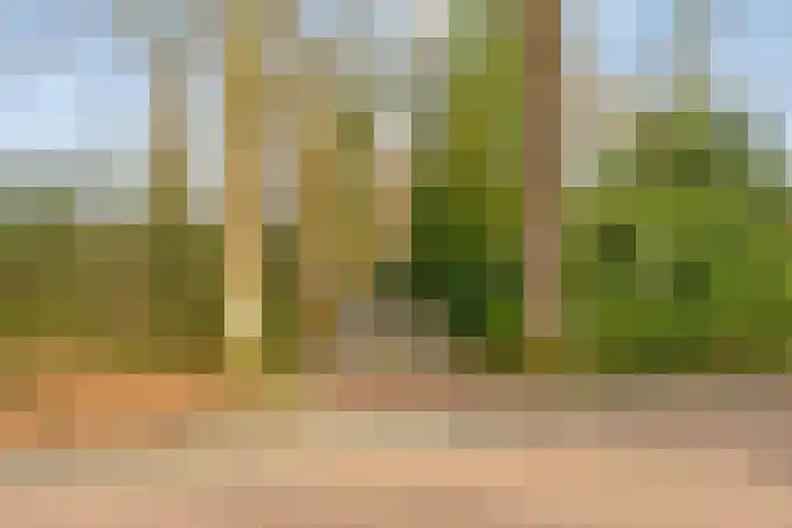 Heerenveenseweg 2 A Oldeberkoop thumbnail 44