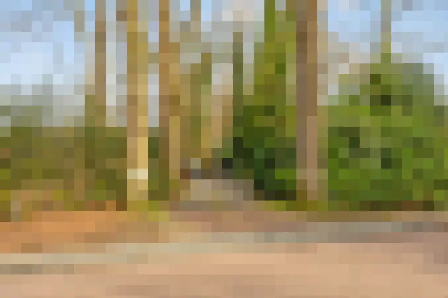 Heerenveenseweg 2 A Oldeberkoop thumbnail 48