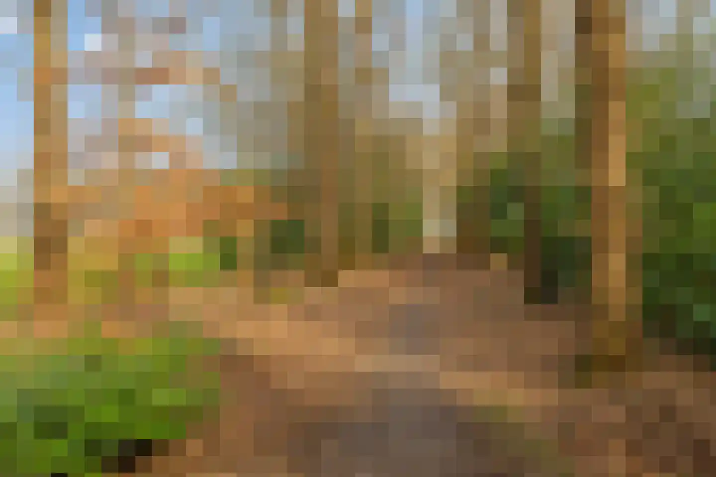 Heerenveenseweg 2 A Oldeberkoop thumbnail 49