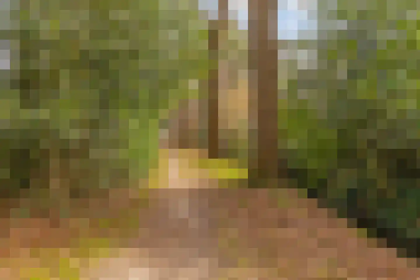 Heerenveenseweg 2 A Oldeberkoop thumbnail 50