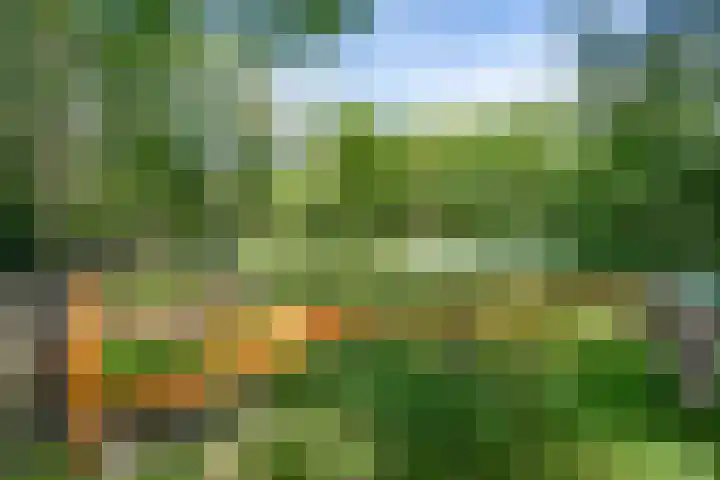 Heerenveenseweg 2 A Oldeberkoop thumbnail 53
