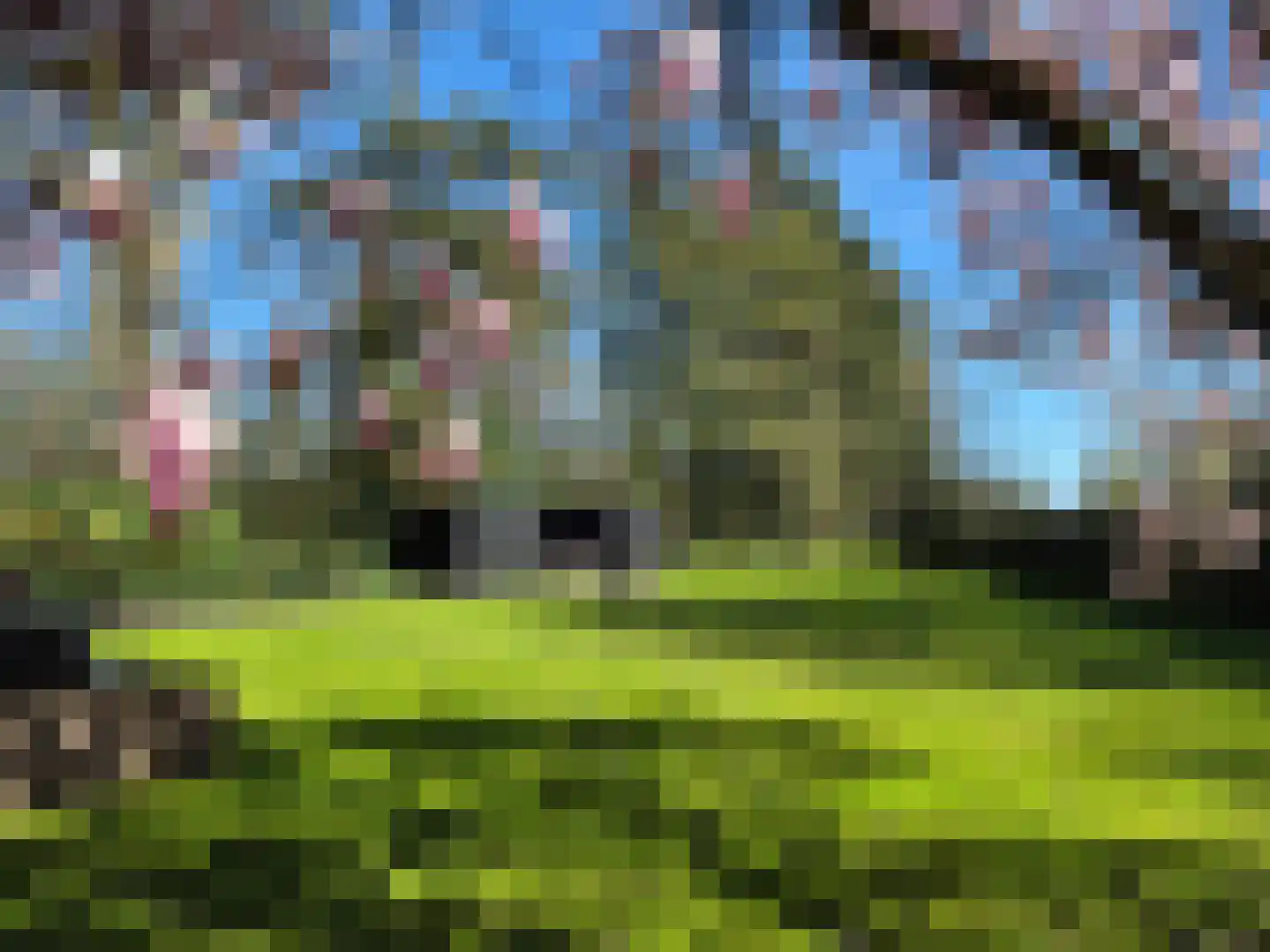 Heerenveenseweg 2 A Oldeberkoop thumbnail 6
