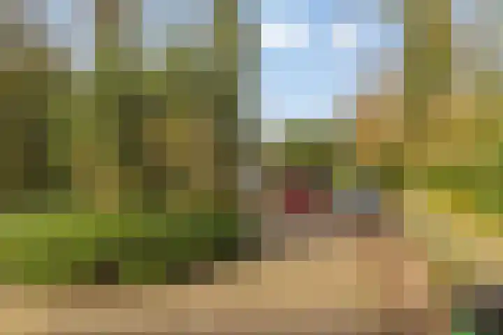 Heerenveenseweg 2 A Oldeberkoop thumbnail 7