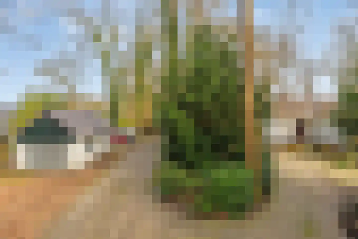 Heerenveenseweg 2 A Oldeberkoop thumbnail 8