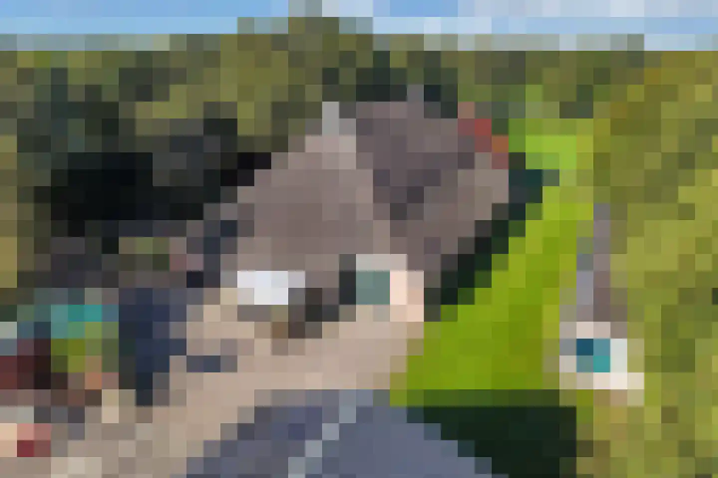 Heerenveenseweg 210 Nijeholtwolde thumbnail 52