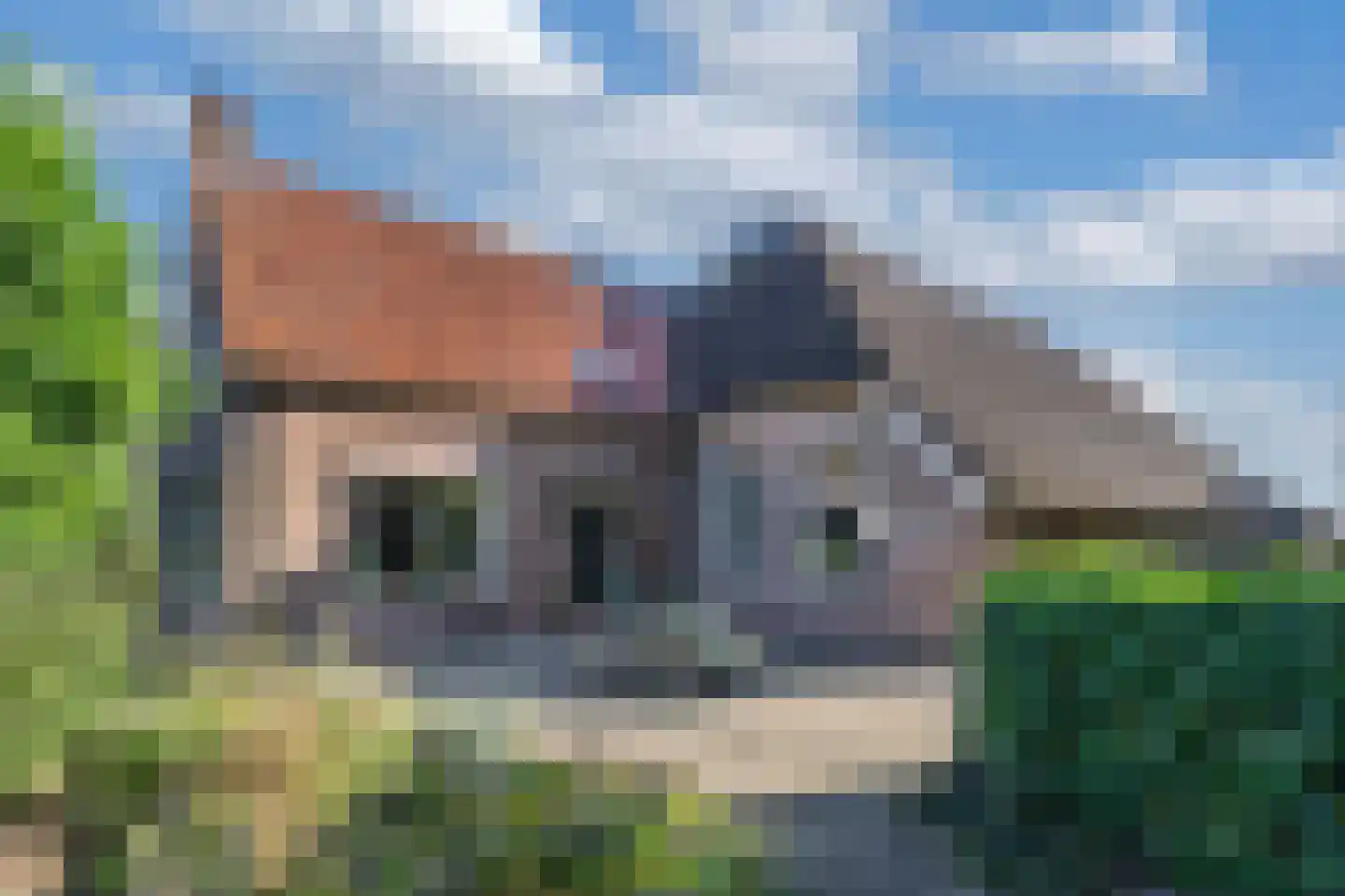 Heerenveenseweg 210 Nijeholtwolde thumbnail 57