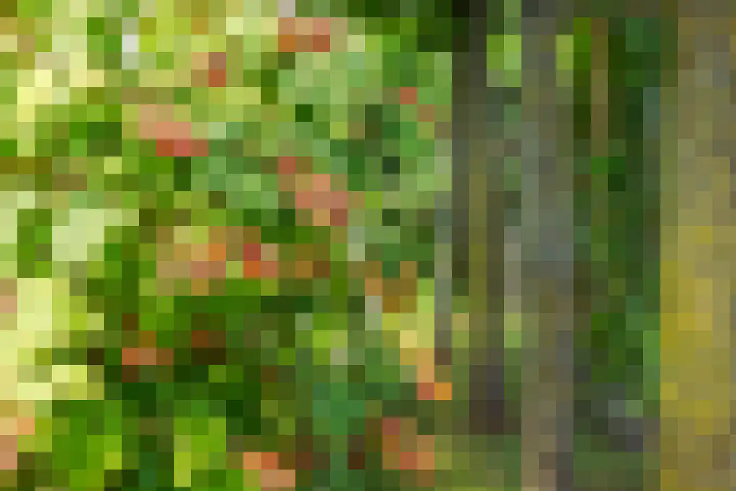 Heerenveenseweg 27 Wolvega thumbnail 55