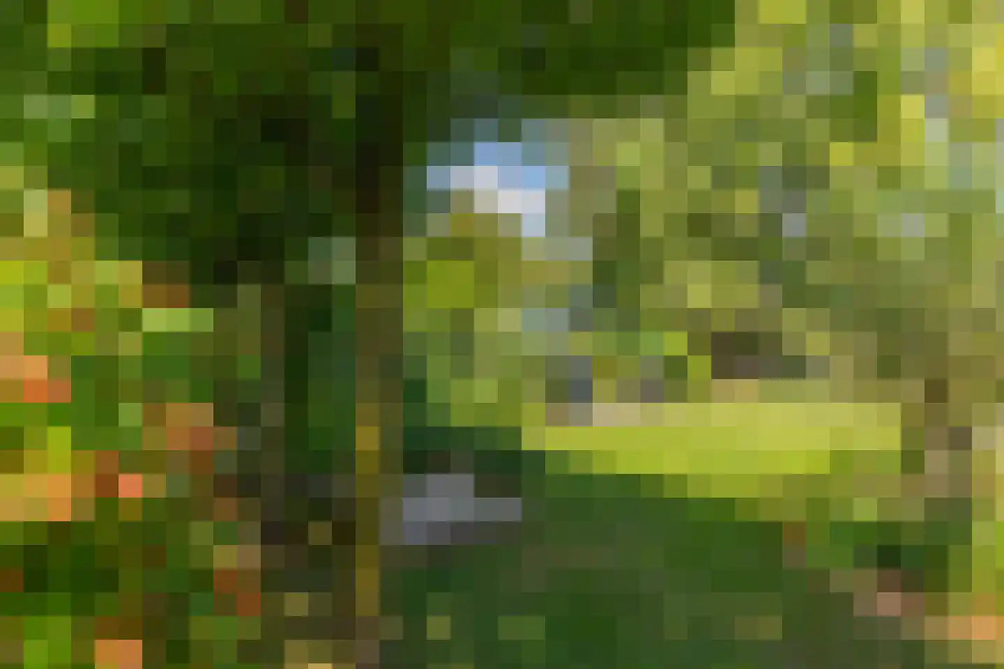 Heerenveenseweg 27 Wolvega thumbnail 56