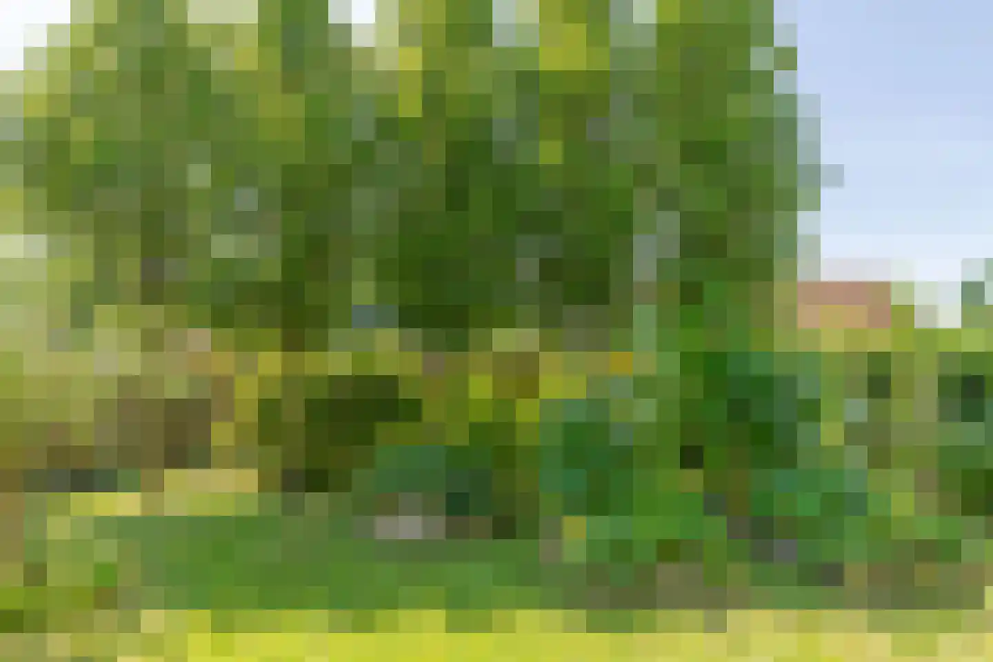 Heerenveenseweg 27 Wolvega thumbnail 58