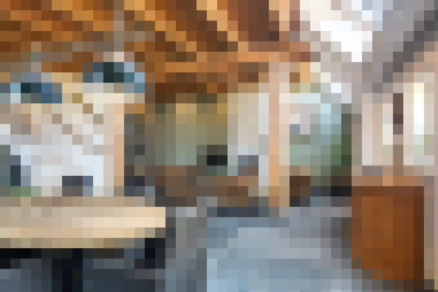 Heerenveenseweg 3 B Oldeberkoop thumbnail 16