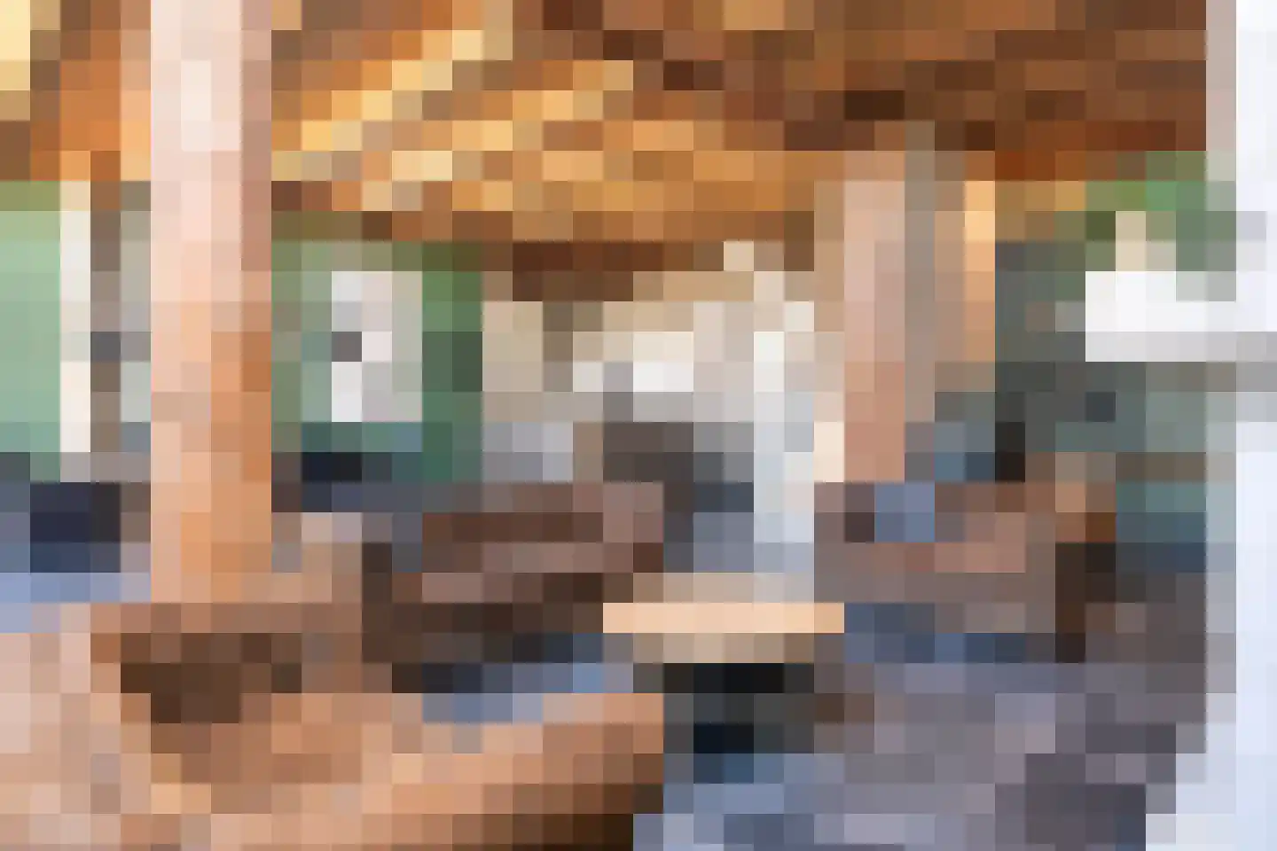 Heerenveenseweg 3 B Oldeberkoop thumbnail 19