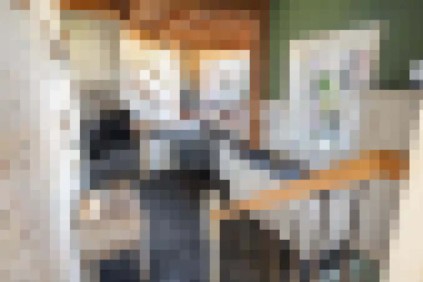 Heerenveenseweg 3 B Oldeberkoop thumbnail 20