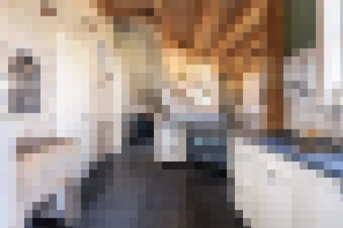 Heerenveenseweg 3 B Oldeberkoop thumbnail 21