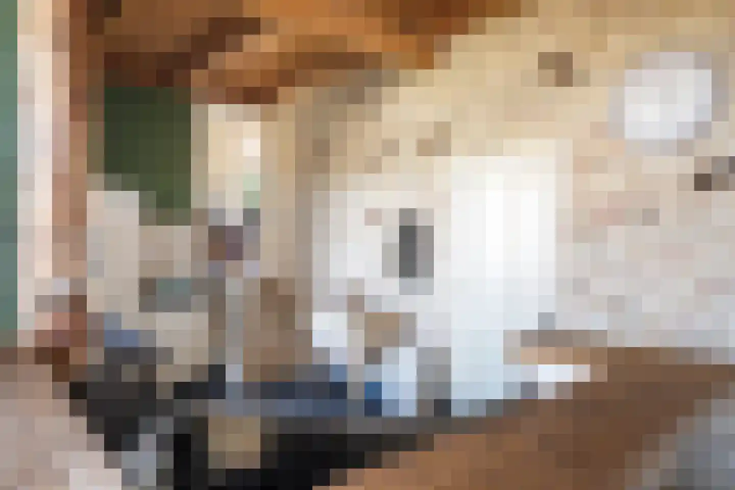 Heerenveenseweg 3 B Oldeberkoop thumbnail 23