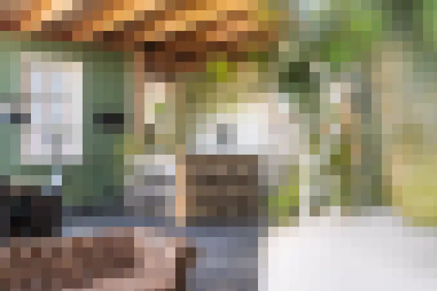 Heerenveenseweg 3 B Oldeberkoop thumbnail 27