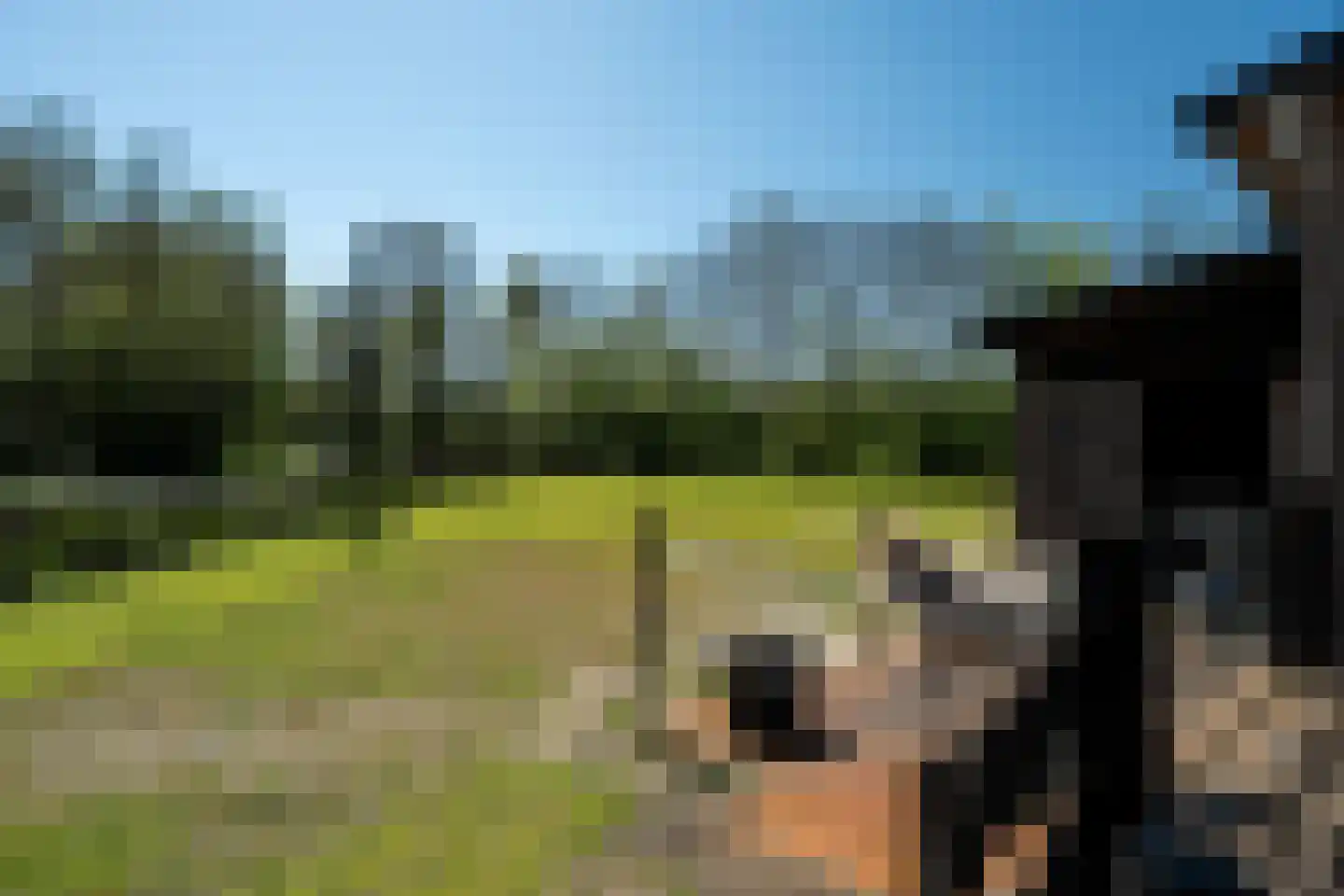 Heerenveenseweg 3 B Oldeberkoop thumbnail 50