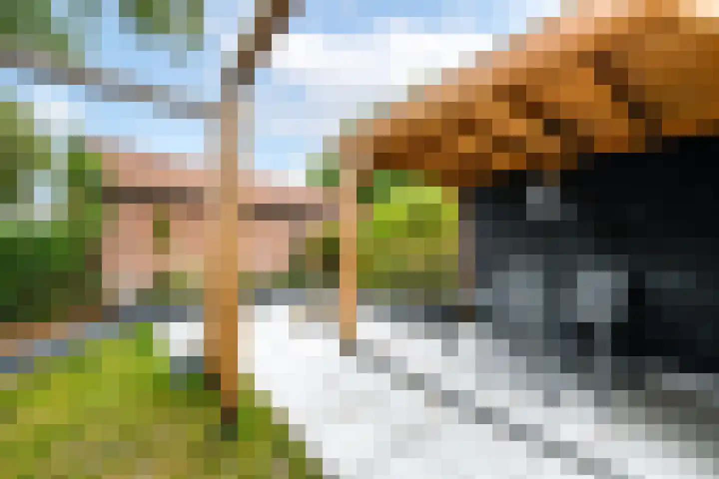 Heerenveenseweg 56 Wolvega thumbnail 35