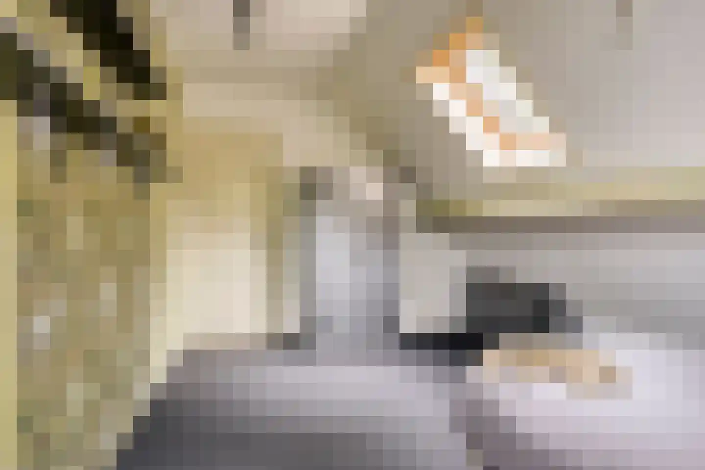 Heerenveenseweg 84 Wolvega thumbnail 28