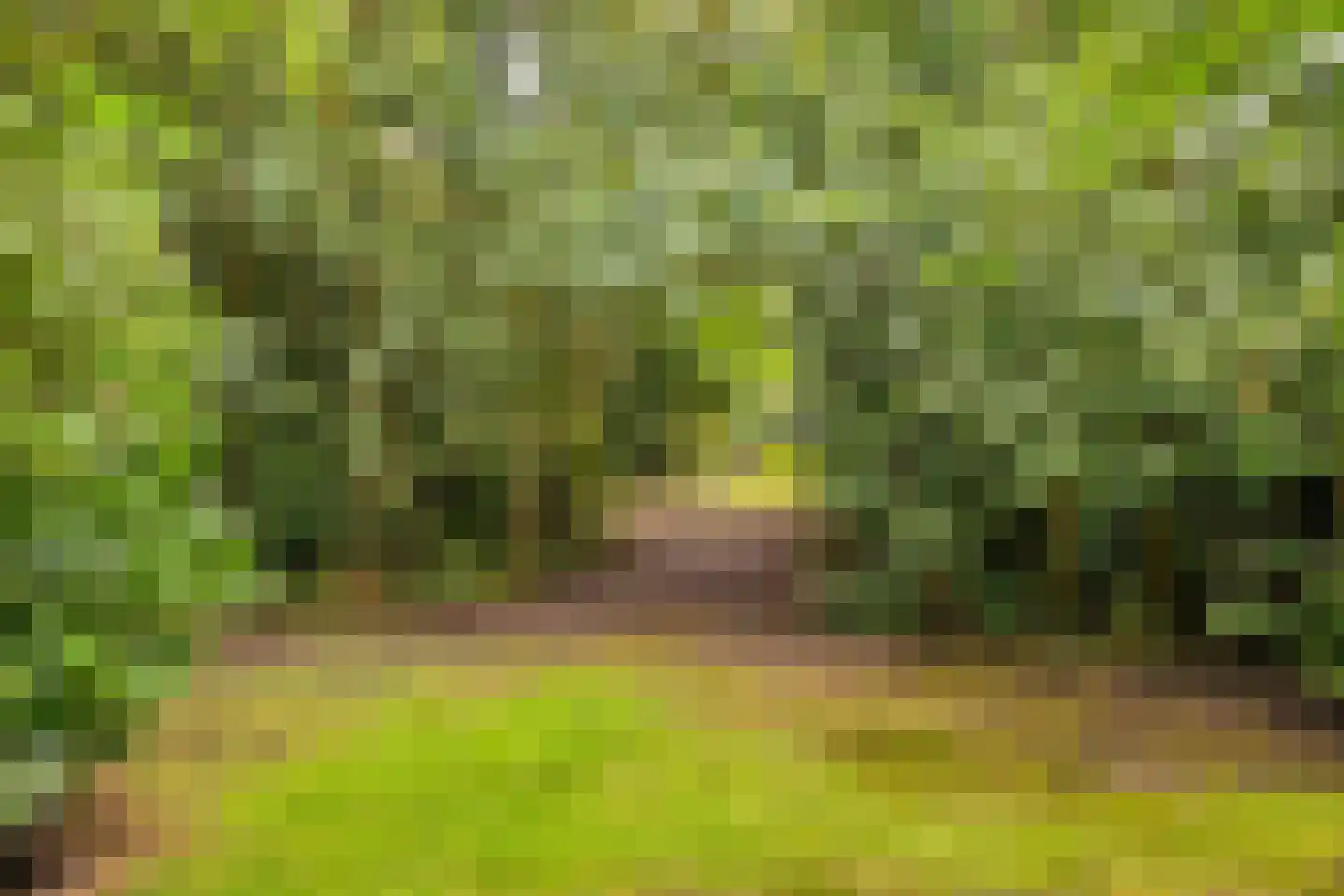 Heerenveenseweg 84 Wolvega thumbnail 33