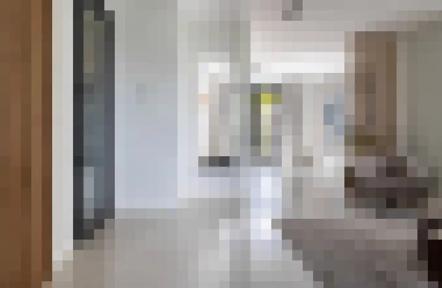 Heerenvest 10 Spanbroek thumbnail 4