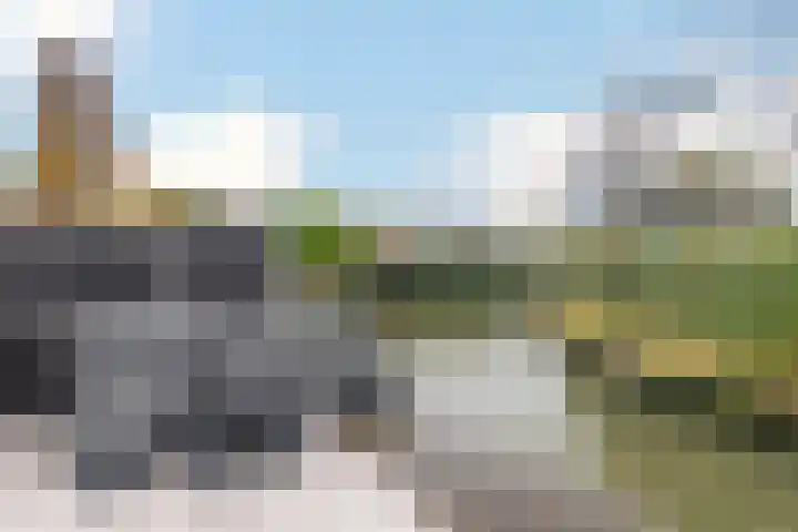 Heerenvliet 16 Wateringen thumbnail 17