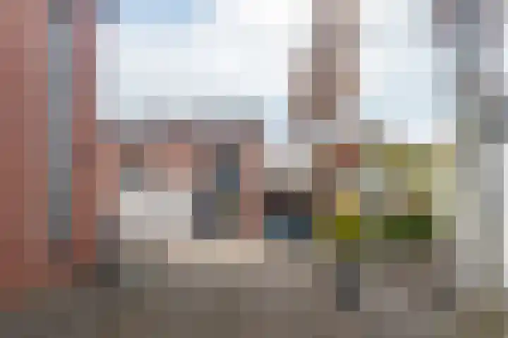Heerenvliet 16 Wateringen thumbnail 35