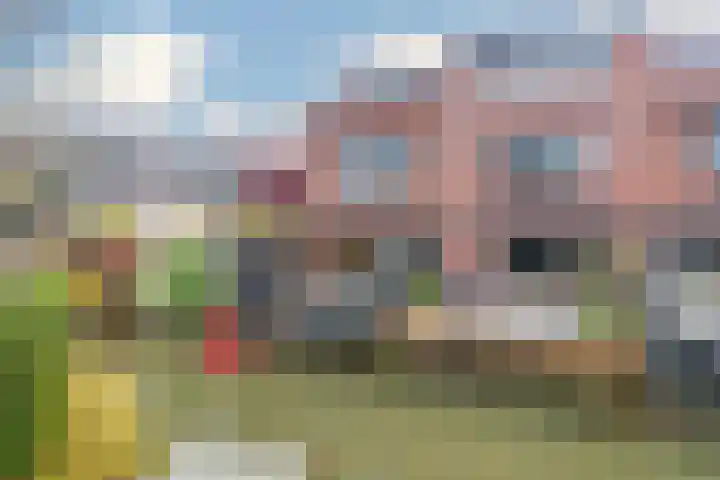 Heerenvliet 16 Wateringen thumbnail 4