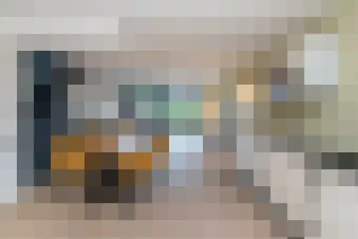Heerenvliet 16 Wateringen thumbnail 7