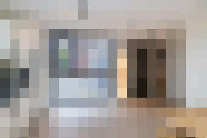 Heerenvliet 16 Wateringen thumbnail 9