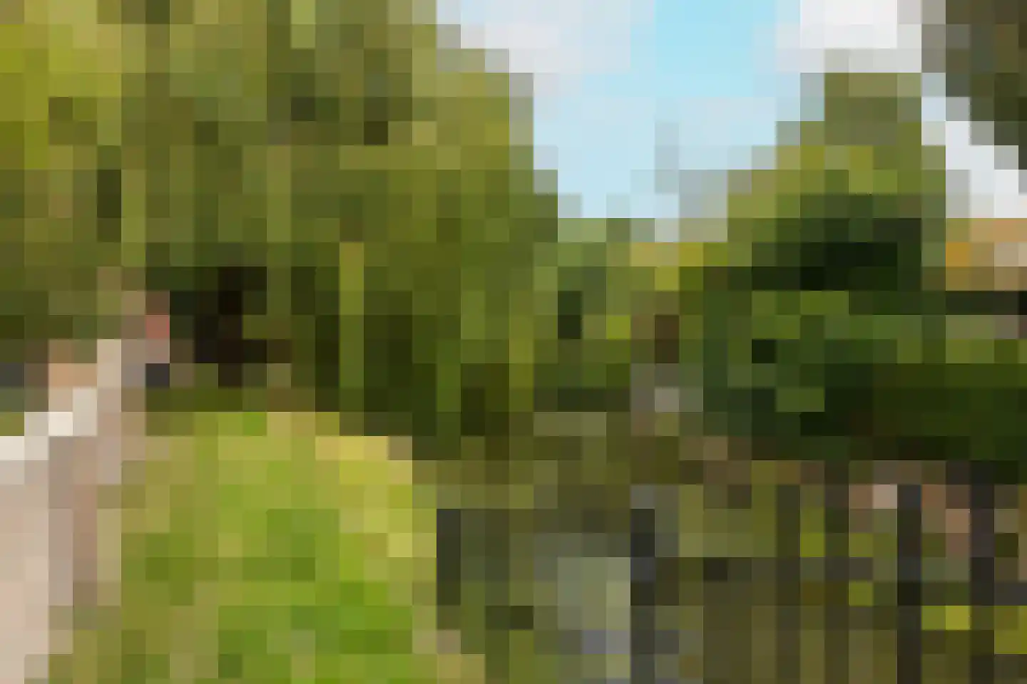 Heerenvliet 23 Wateringen thumbnail 36