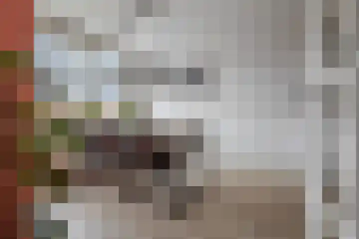 Heerenvliet 25 Wateringen thumbnail 8