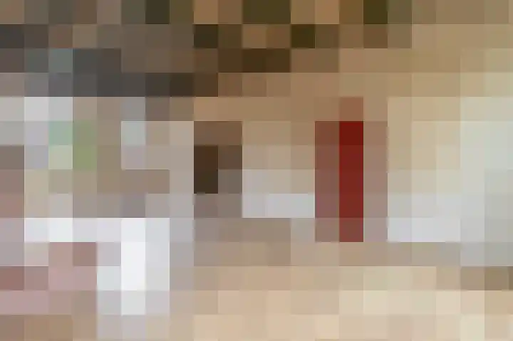 Heerenwal 60 Sloten thumbnail 10