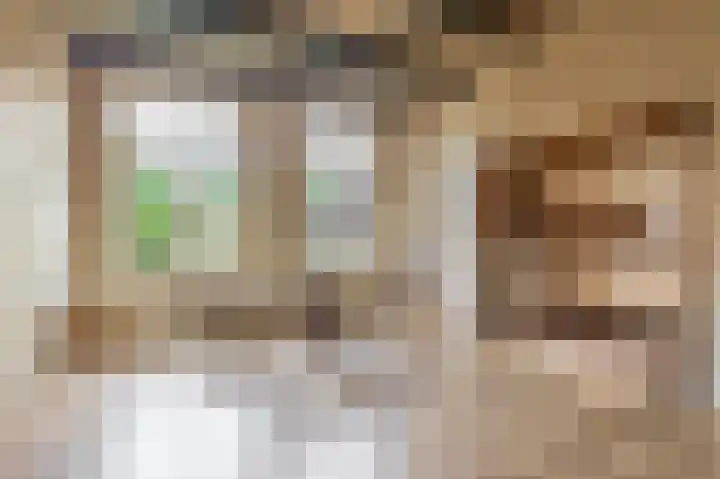 Heerenwal 60 Sloten thumbnail 11