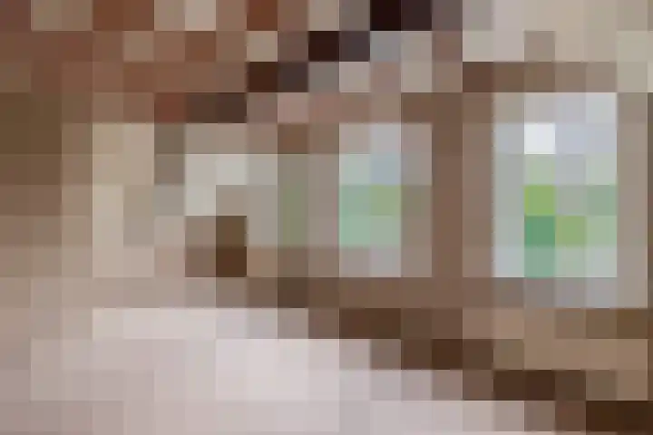 Heerenwal 60 Sloten thumbnail 25