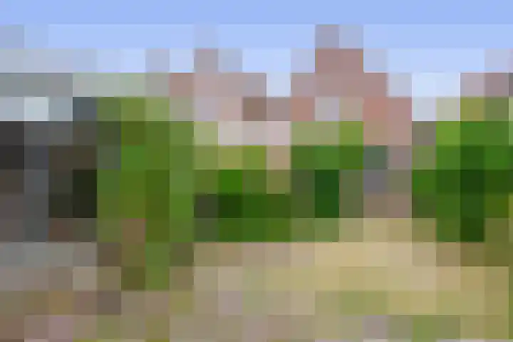 Heerenwal 60 Sloten thumbnail 32