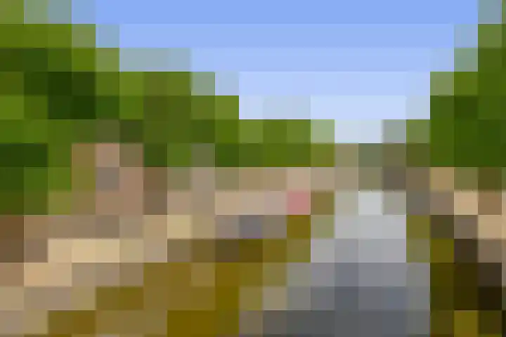 Heerenwal 60 Sloten thumbnail 34