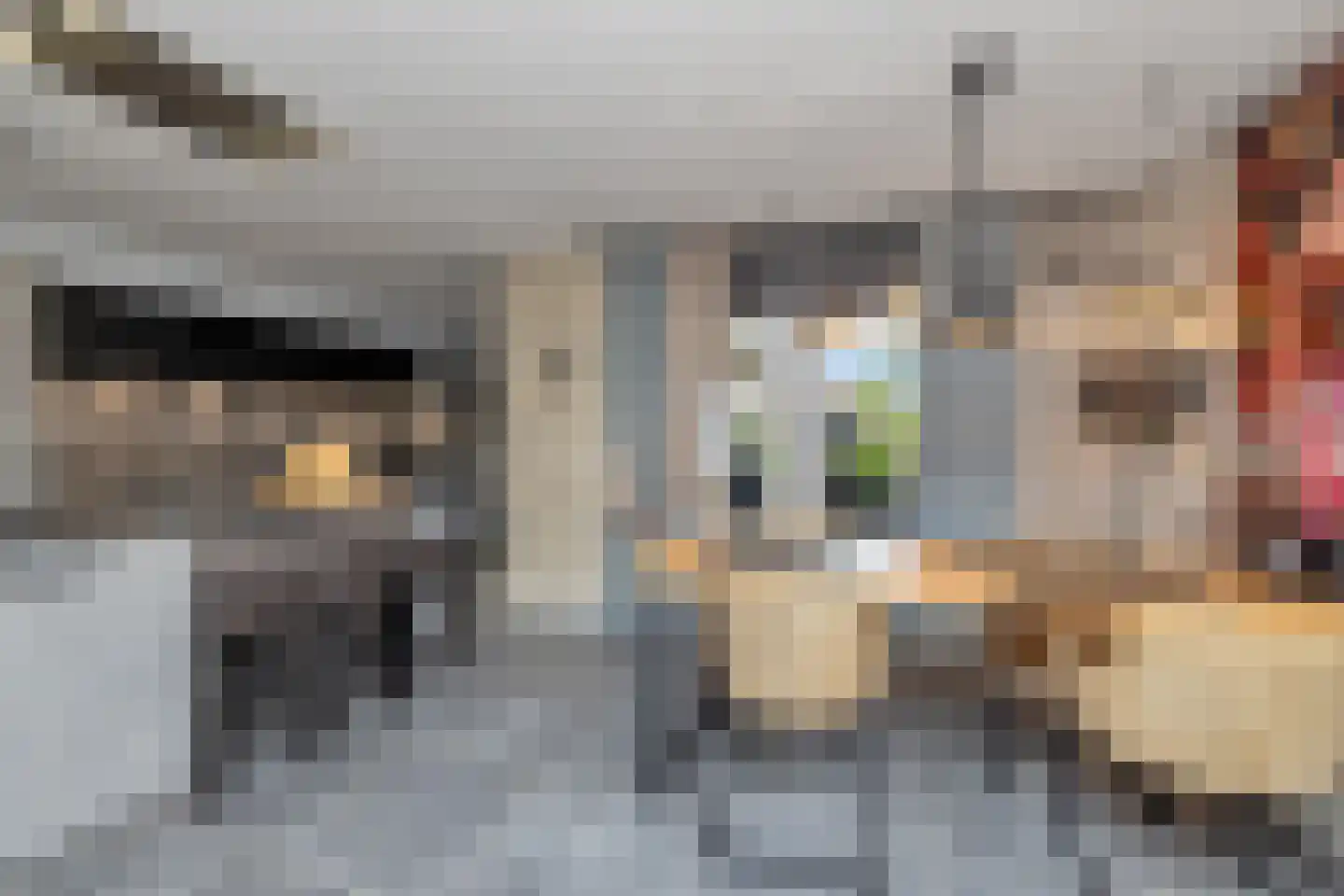 Heerenweg 152 Barsingerhorn thumbnail 11